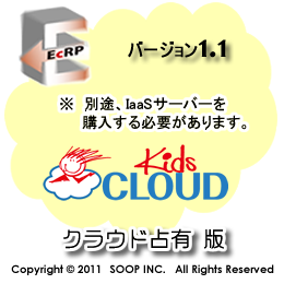 EcRP　クラウド占有版